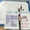 Chopard Replica Watch With Moissanite Diamonds 18K Gold Wrapped 34mm