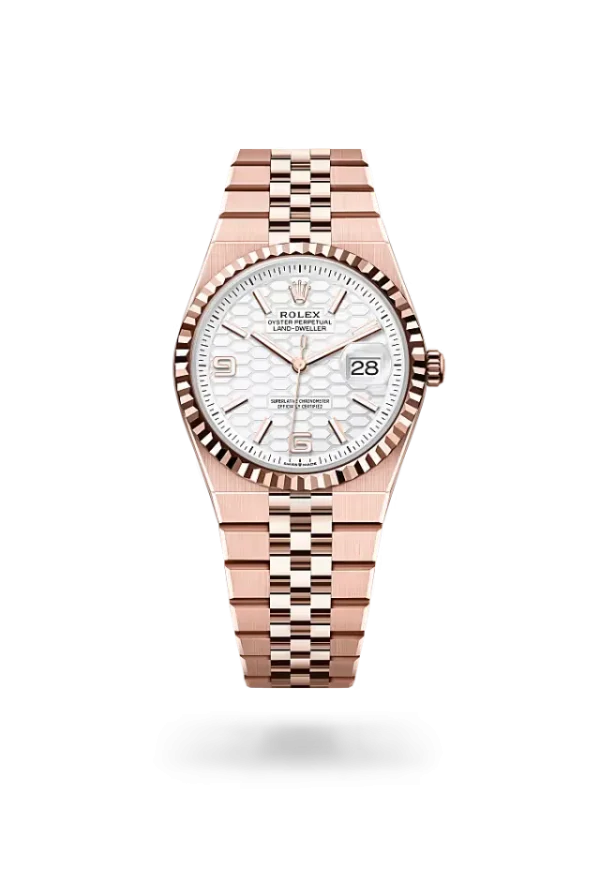 Rolex Land-Dweller 36 mm Everose gold