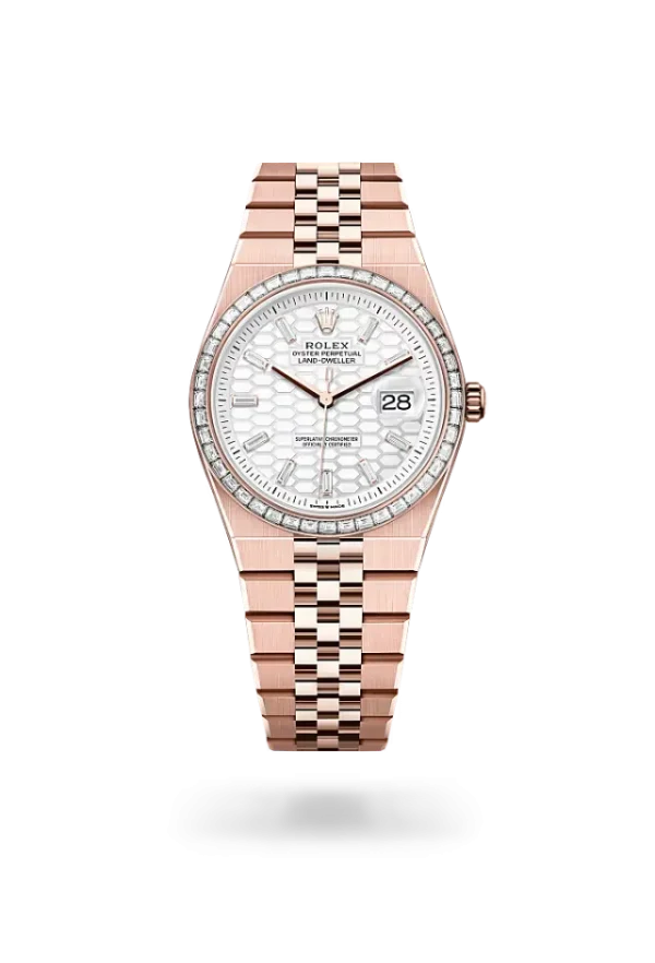 Rolex Land-Dweller 36 mm Everose gold and diamonds