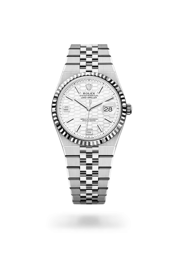 Rolex Land-Dweller 36 mm Oystersteel and white gold