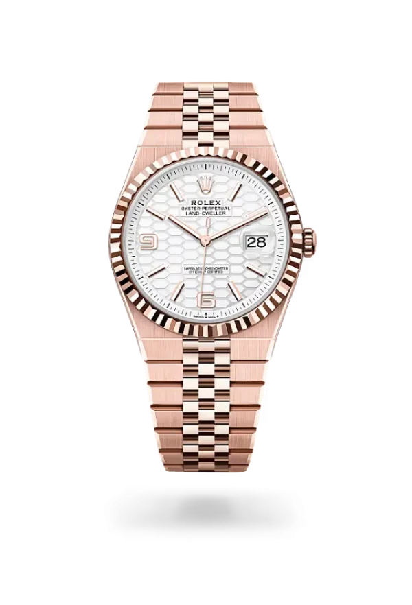 Rolex Land-Dweller 40 mm Everose gold