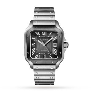 Cartier Santos De Cartier Watch Large Model Automatic Steel ADLC Interchangeable Metal And Rubber Bracelets WSSA0037