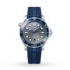 Omega Seamaster Pro-Diver 300 Mens Watch O21032422006001